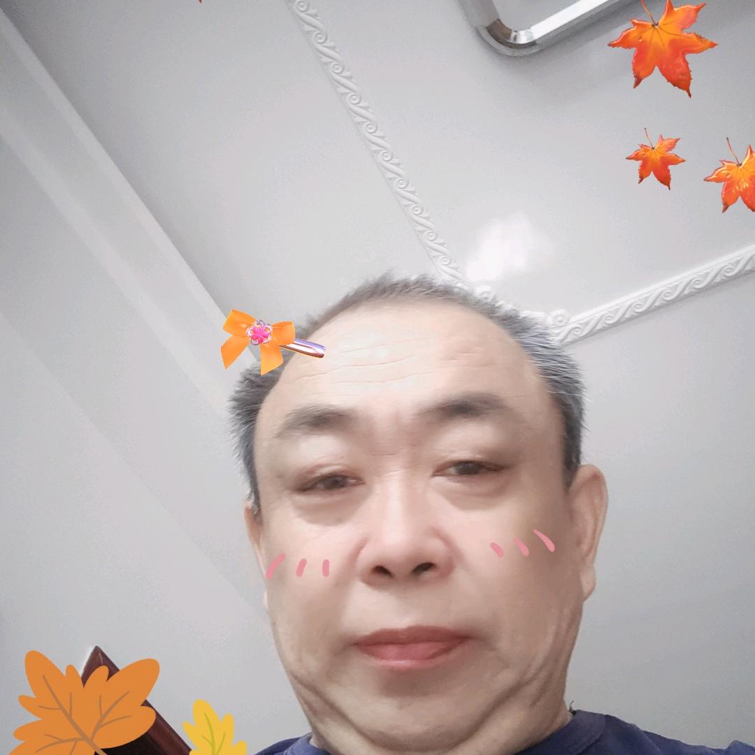 四马奔腾