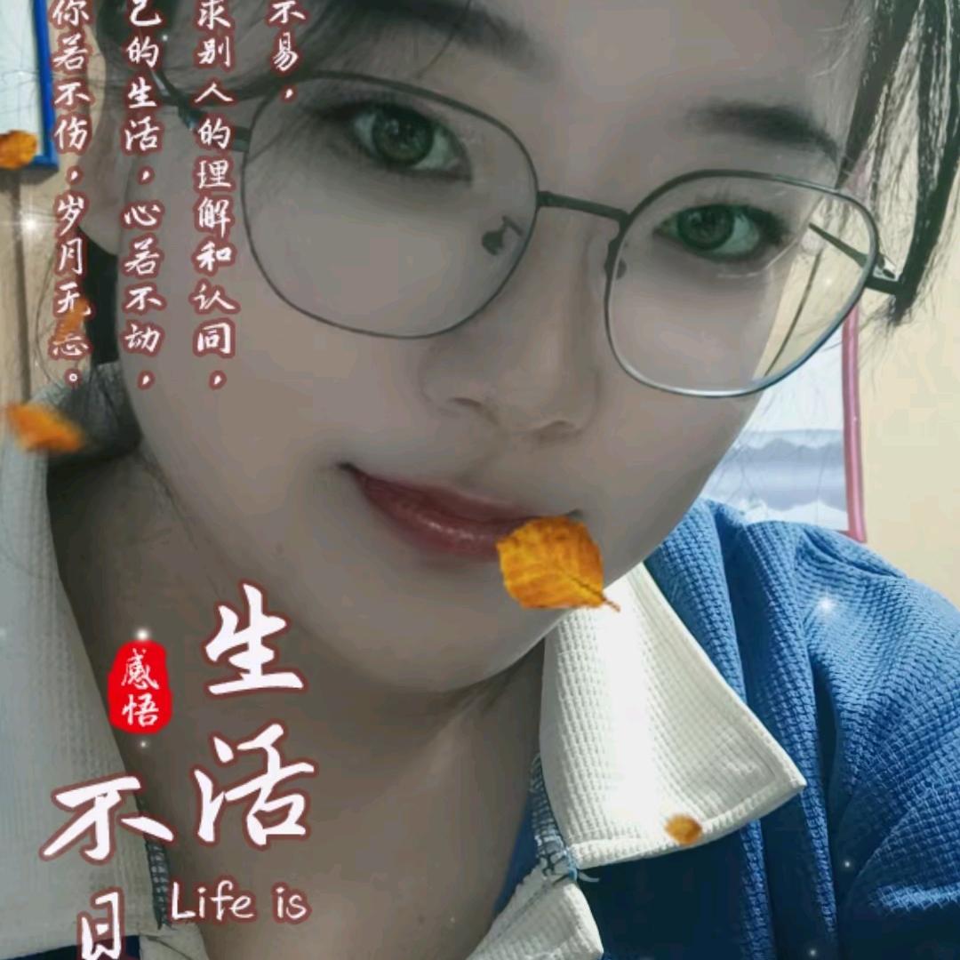 骑鱼的猫🐟