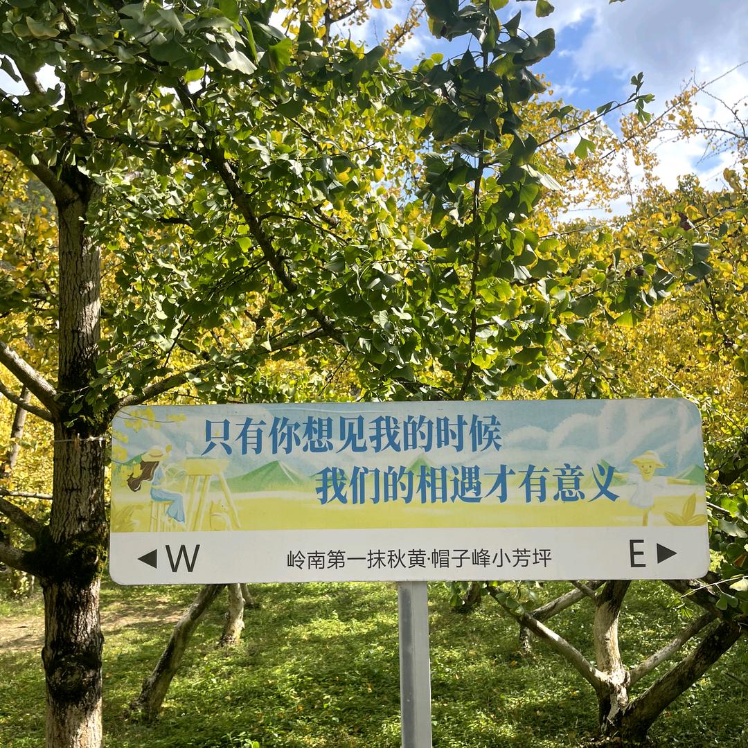 晓亦
