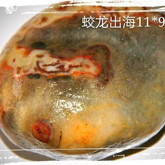 老高