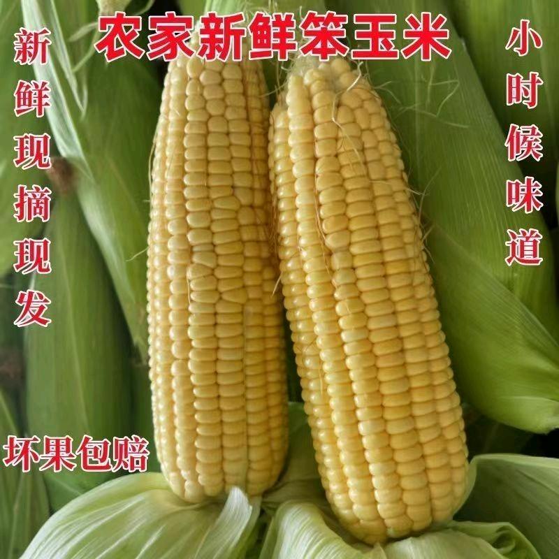 村乡振兴供应链甄选