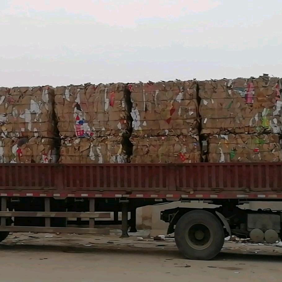 马永青昌乐阳光纸业现金接单