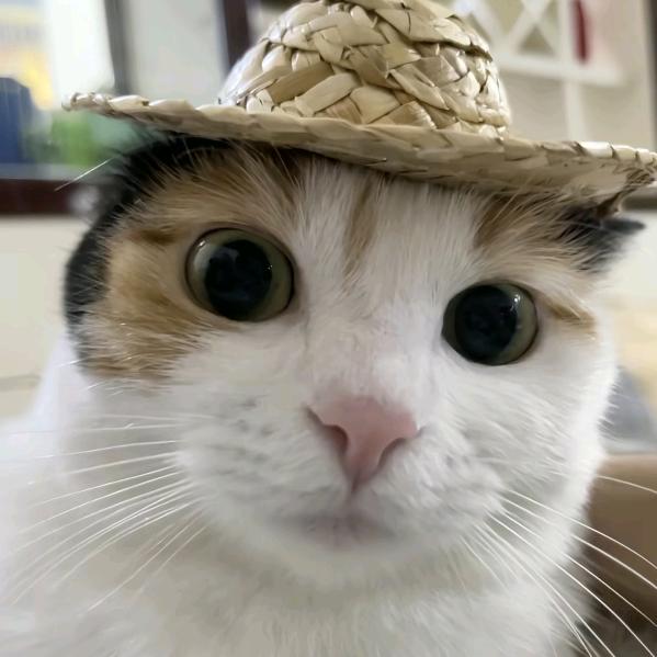 沙