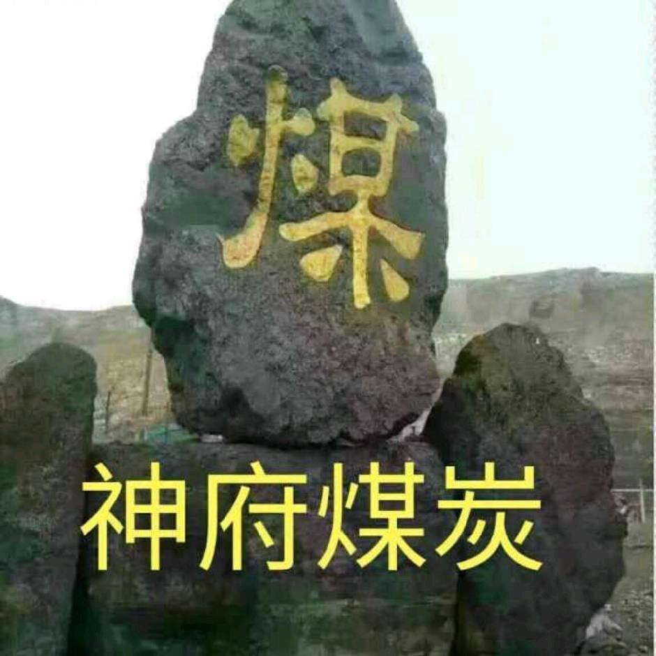 陕西卖煤小子