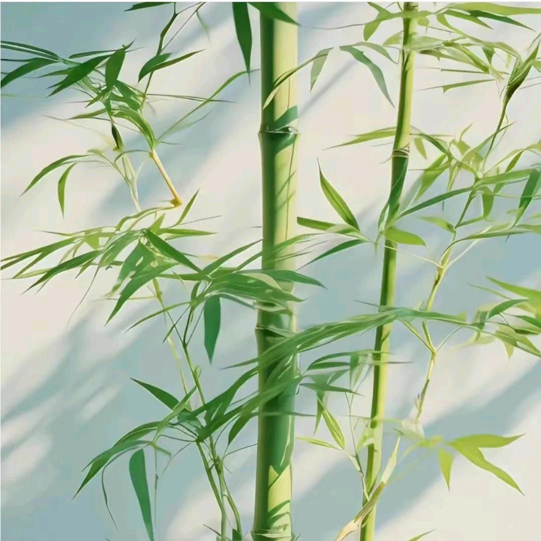 耀萱