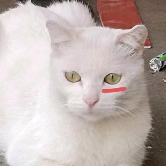 小荣yu（合肥全勤版）