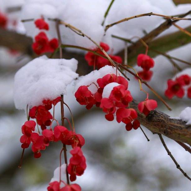 🍁🌾待你如初🍃🍂