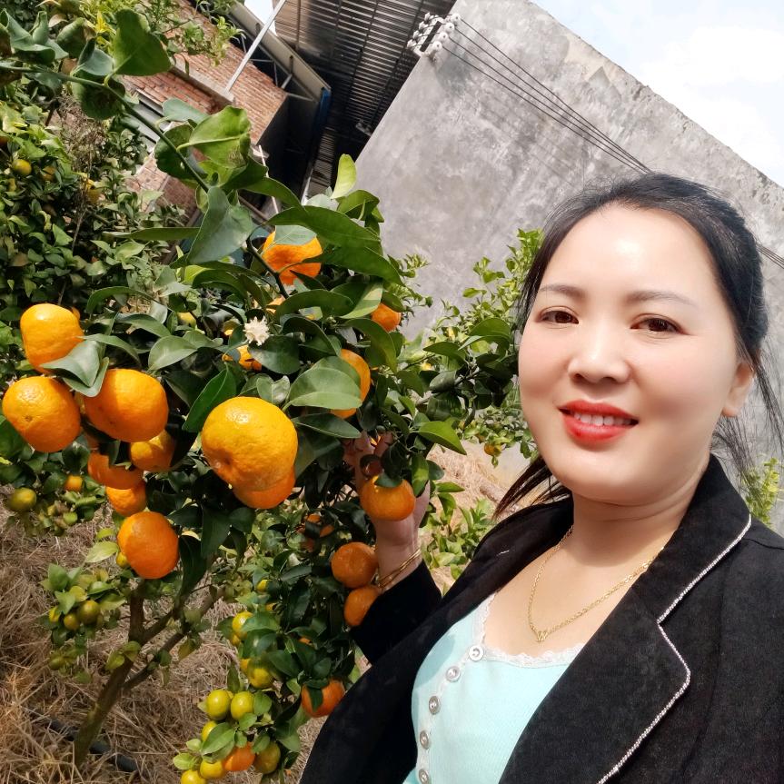 蒋春红柑橘之家
