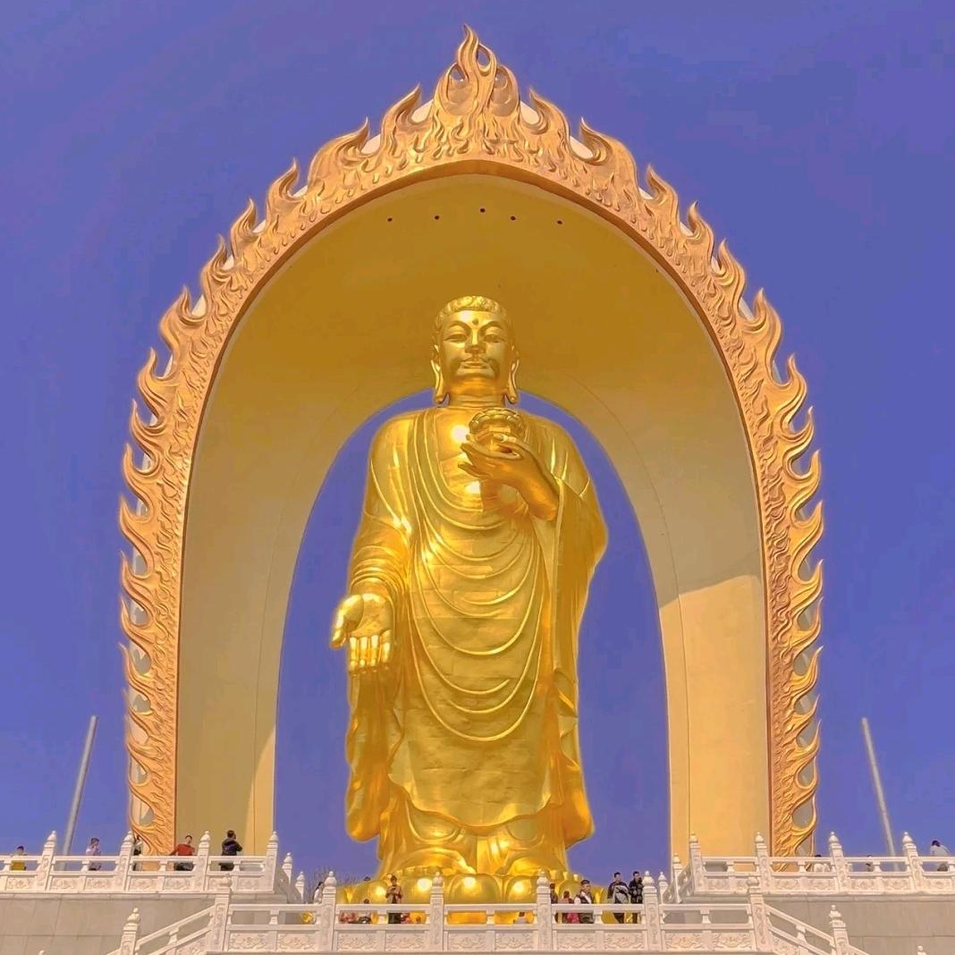 善护念