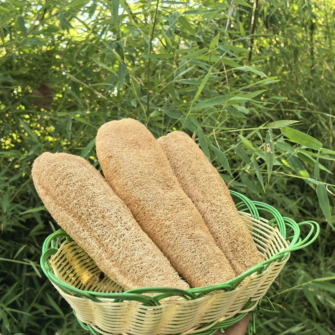 淅川县双庆土特产店