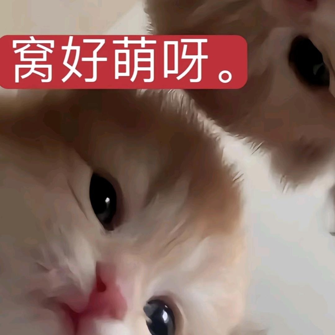 @li
