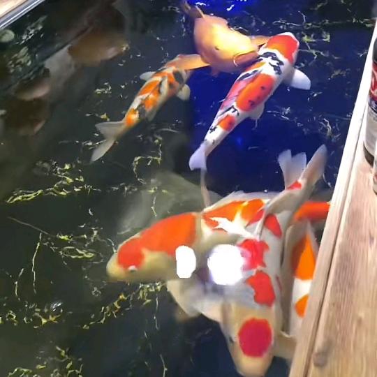 厚德载物