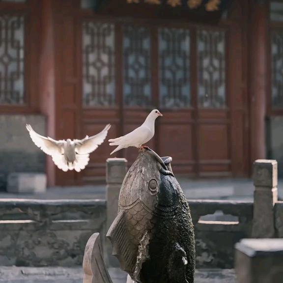 琬迟元