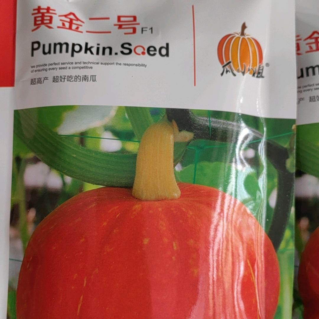 芙蓉