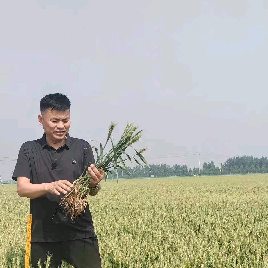 丰博士 大伟
