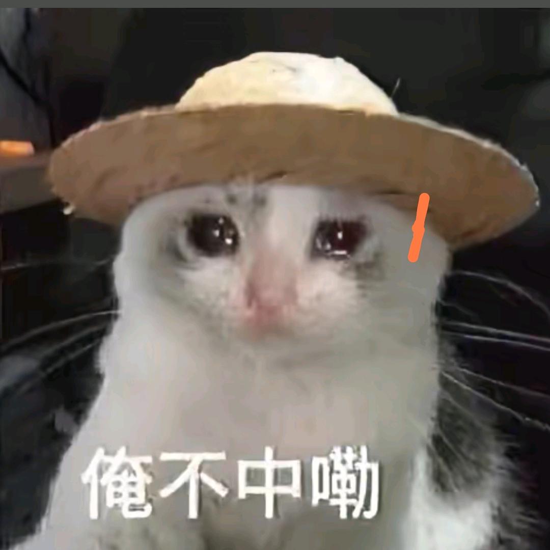 袋袋🐏烃烃