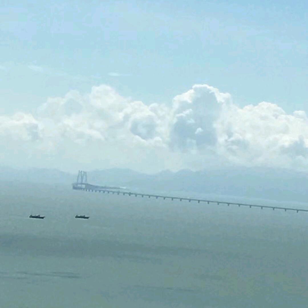 @毛毛