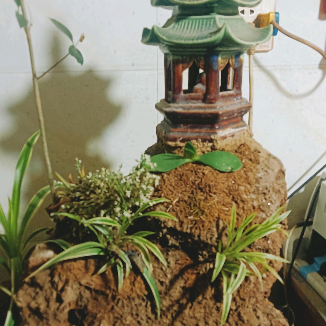 白鹿原老戏迷