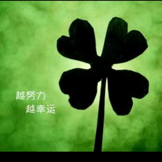 给力🤞✨