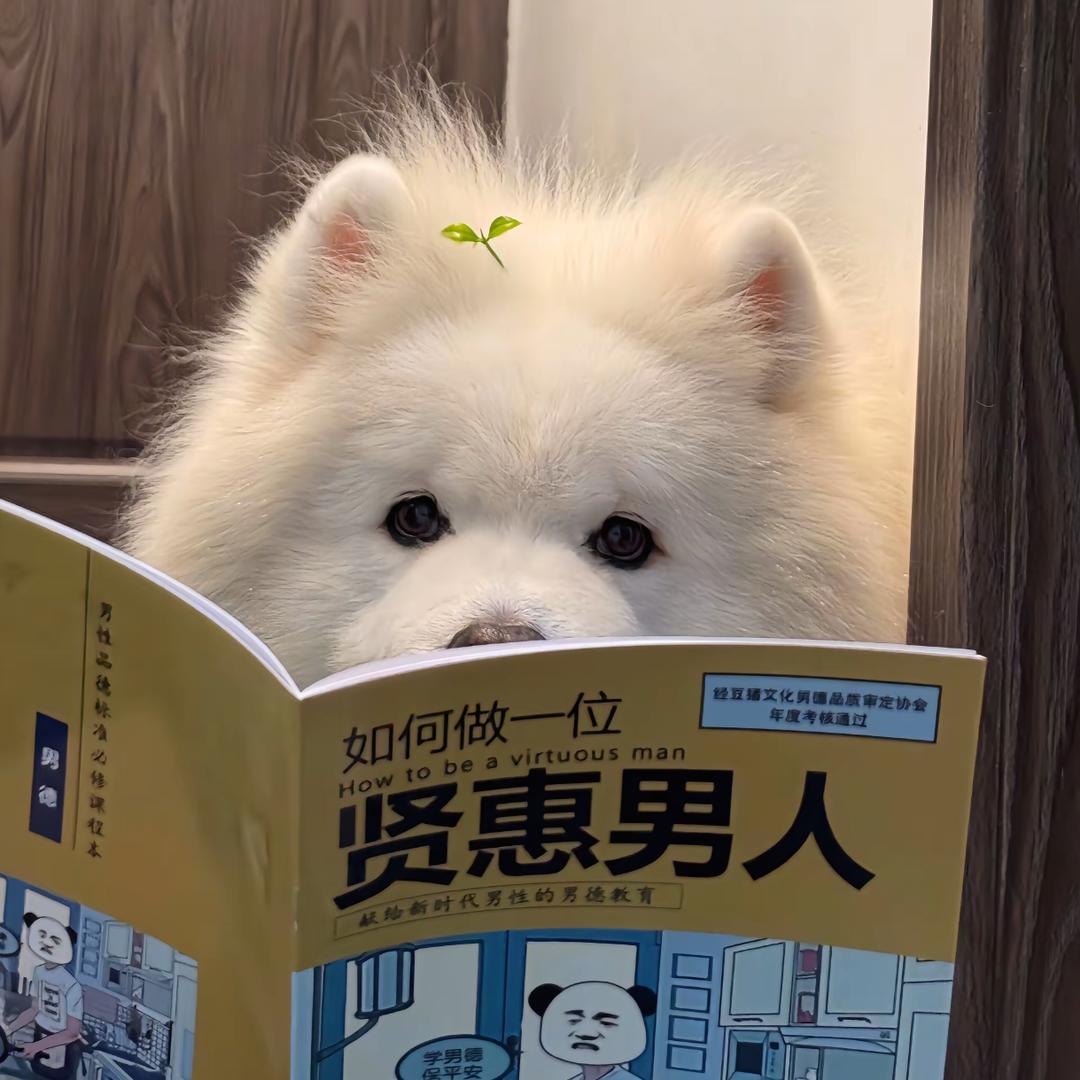 伤心玉米糊
