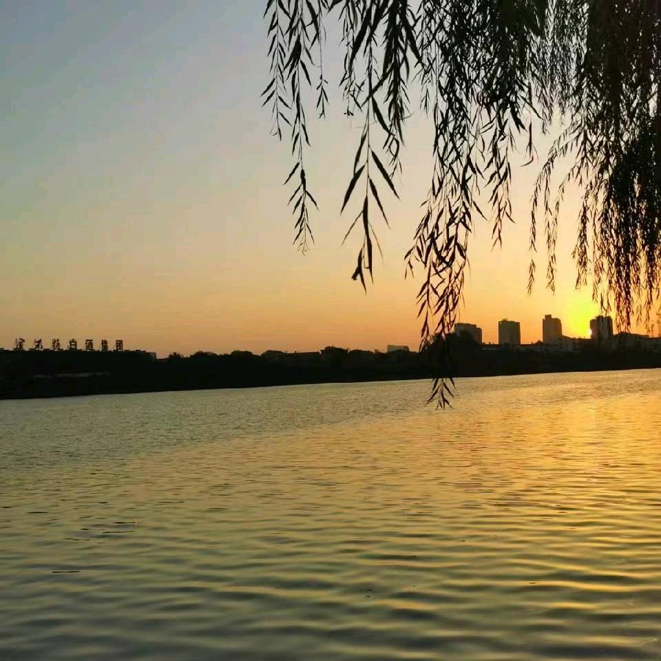 咨询各种中小学上学问题