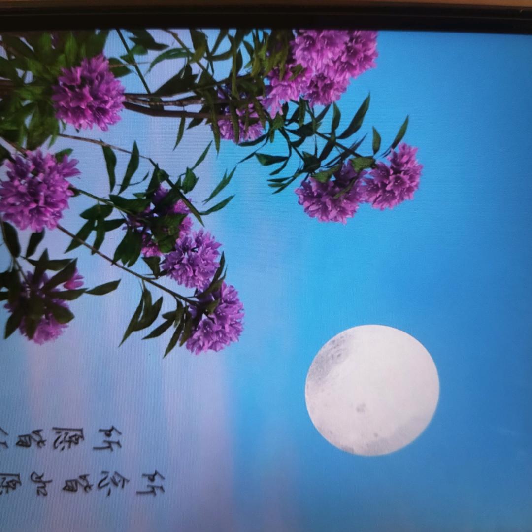 刘喜喜