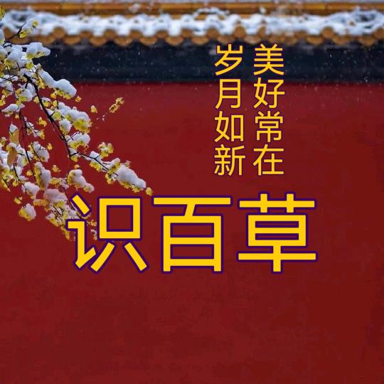 听鉴本草（听故事学中药）