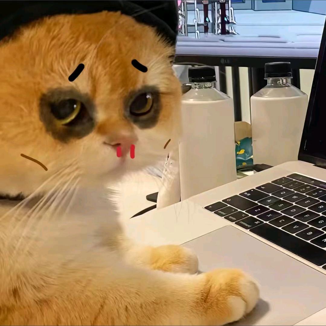 橘子