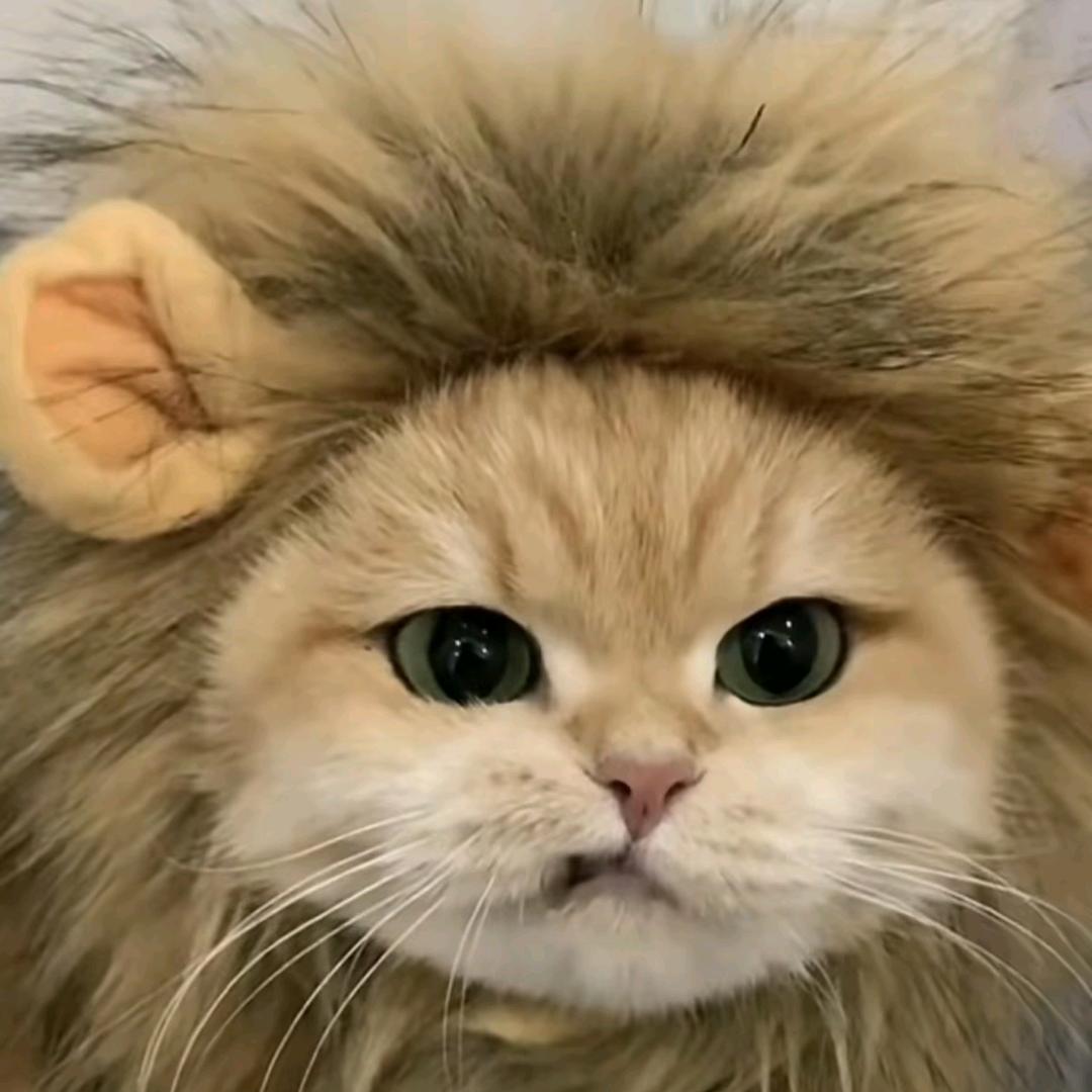 扑到深处自然凉