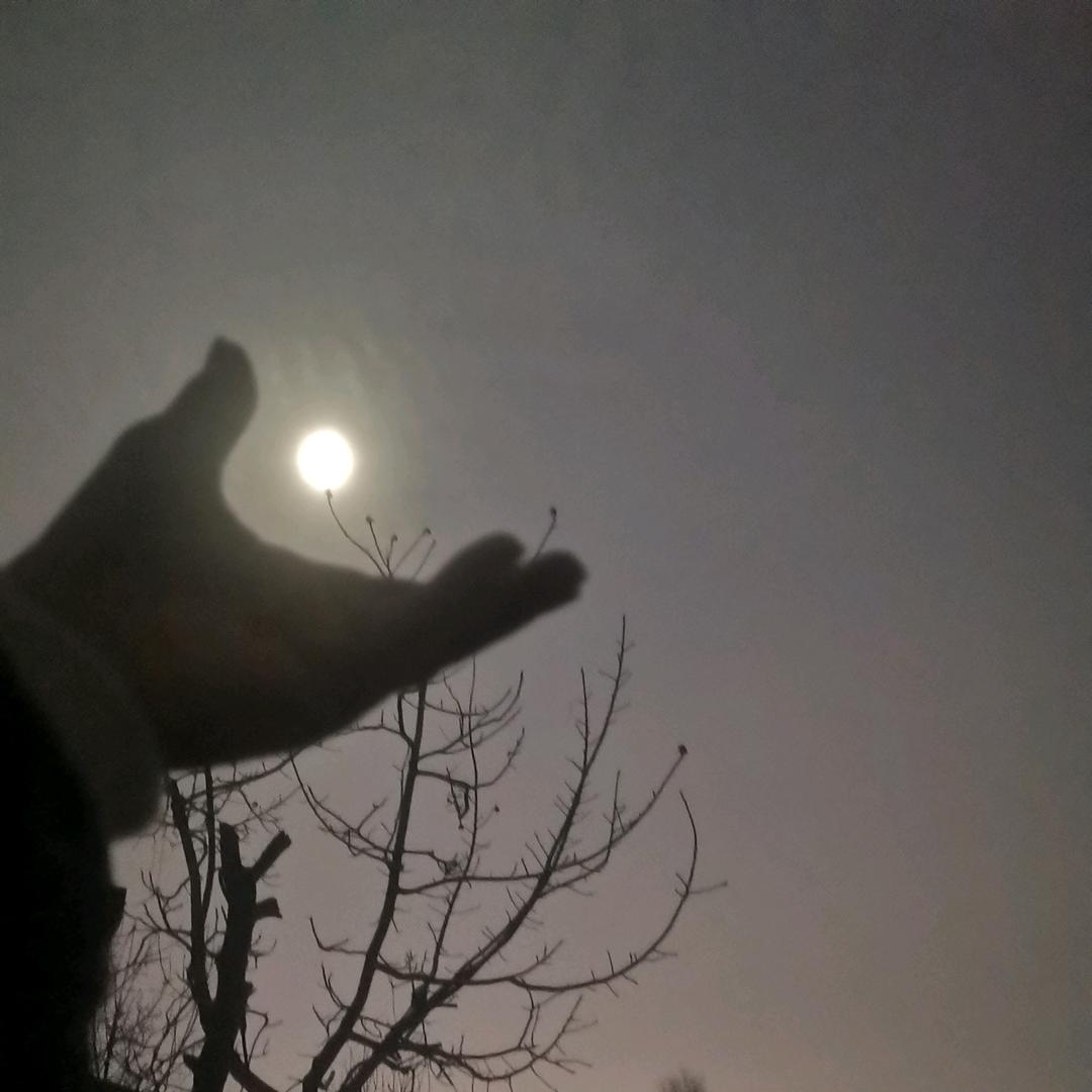 握守头像