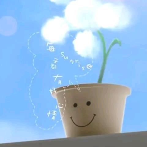 我行我素🍀