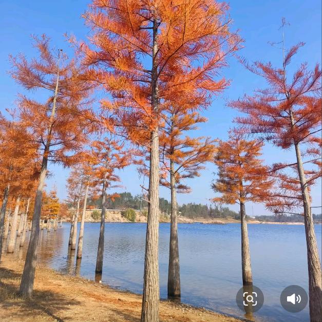 SAX阿俊