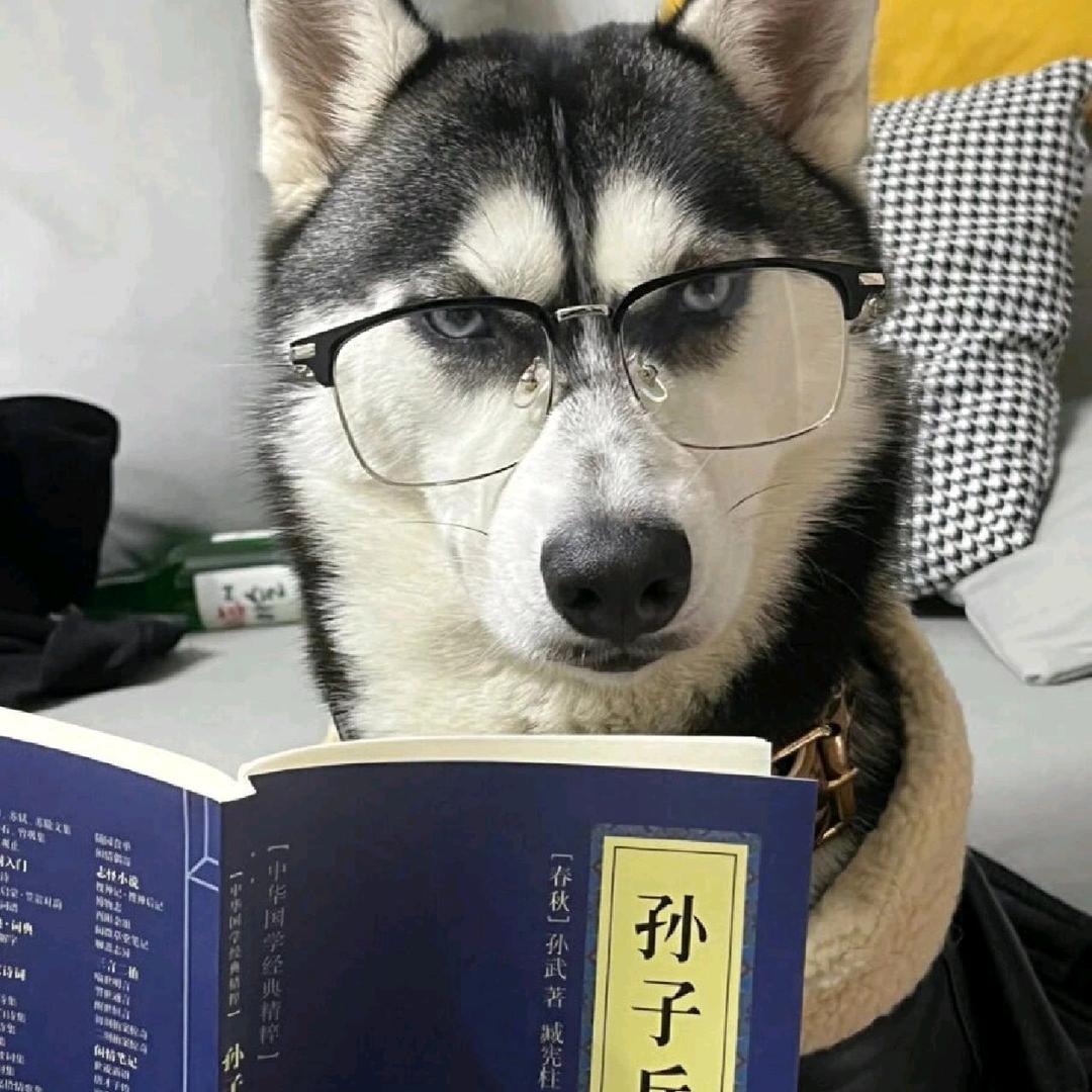 高山低谷。
