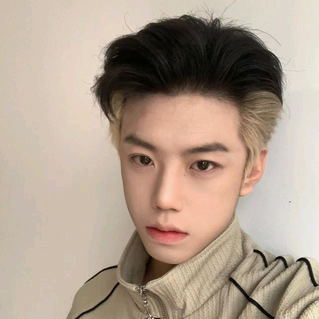 天天（梦田总助全国可订）