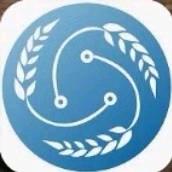 金陵美声匠