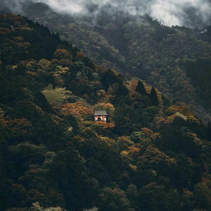 WFC