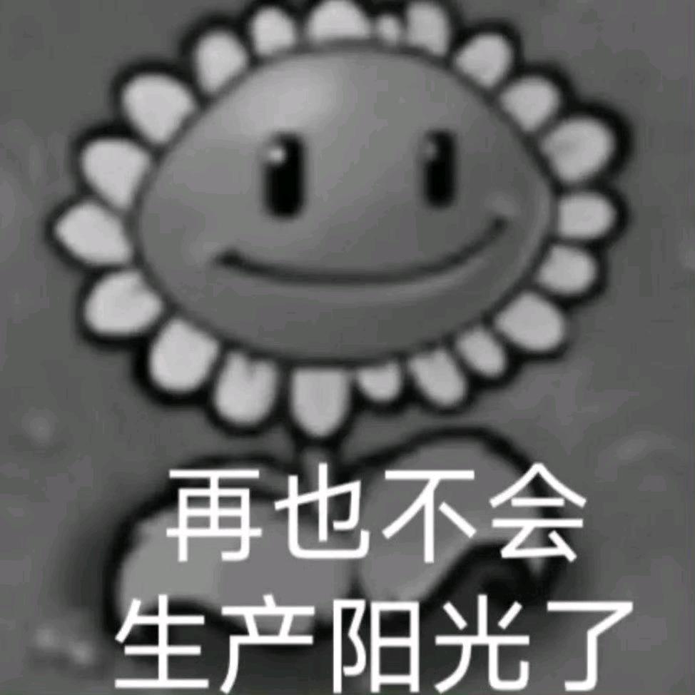 ☀️☀️☀️☀️