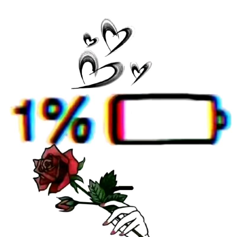 🌹🌹🌺🌺🏵🏵