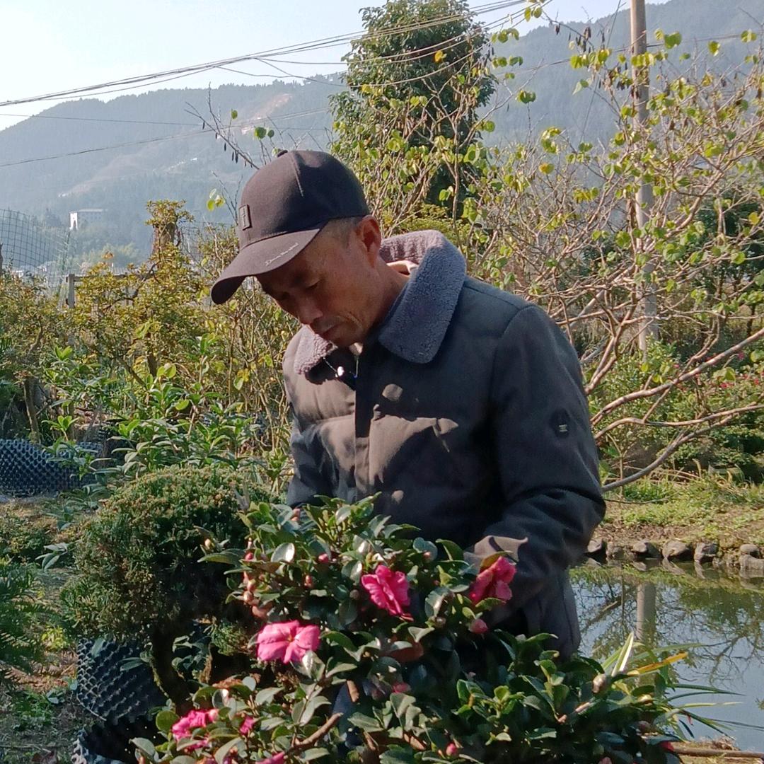 老杨的乡村生活
