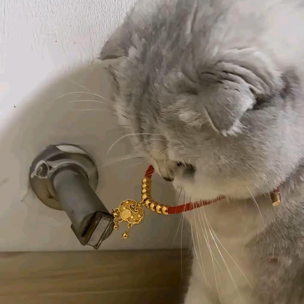 俄罗斯钓鱼4/三世沐