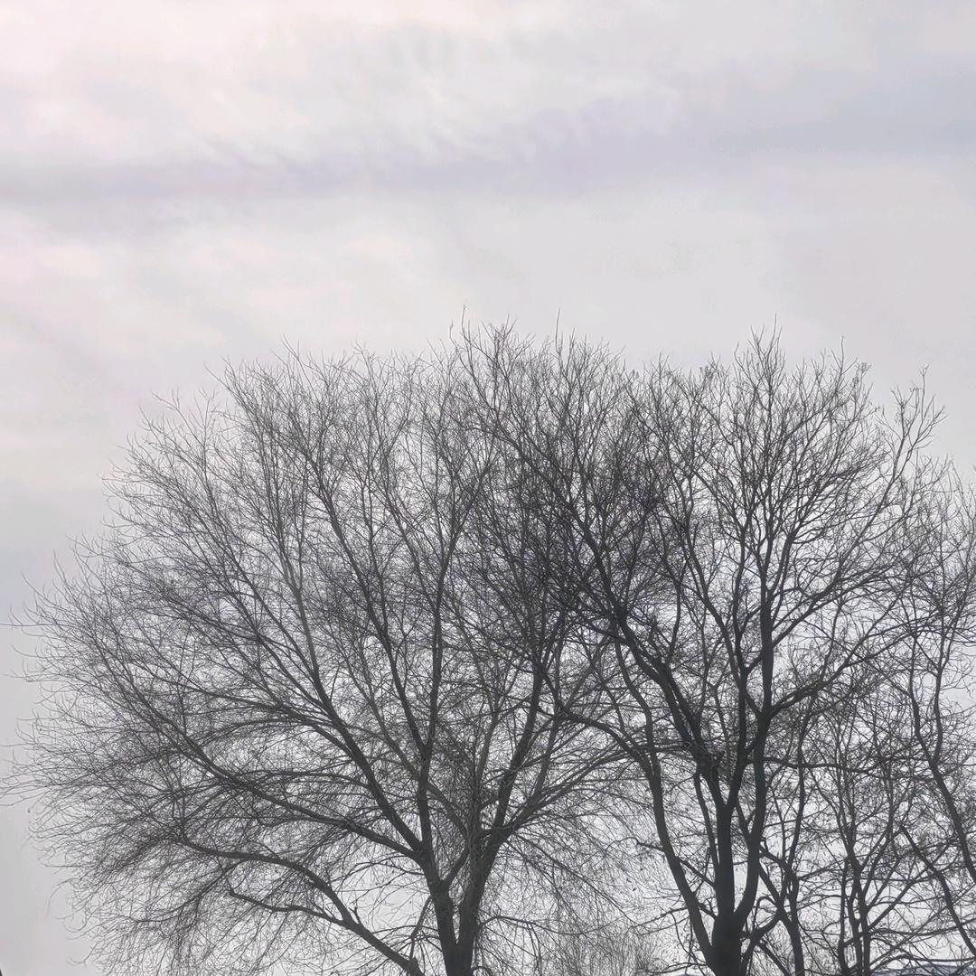 没有永恒的开心