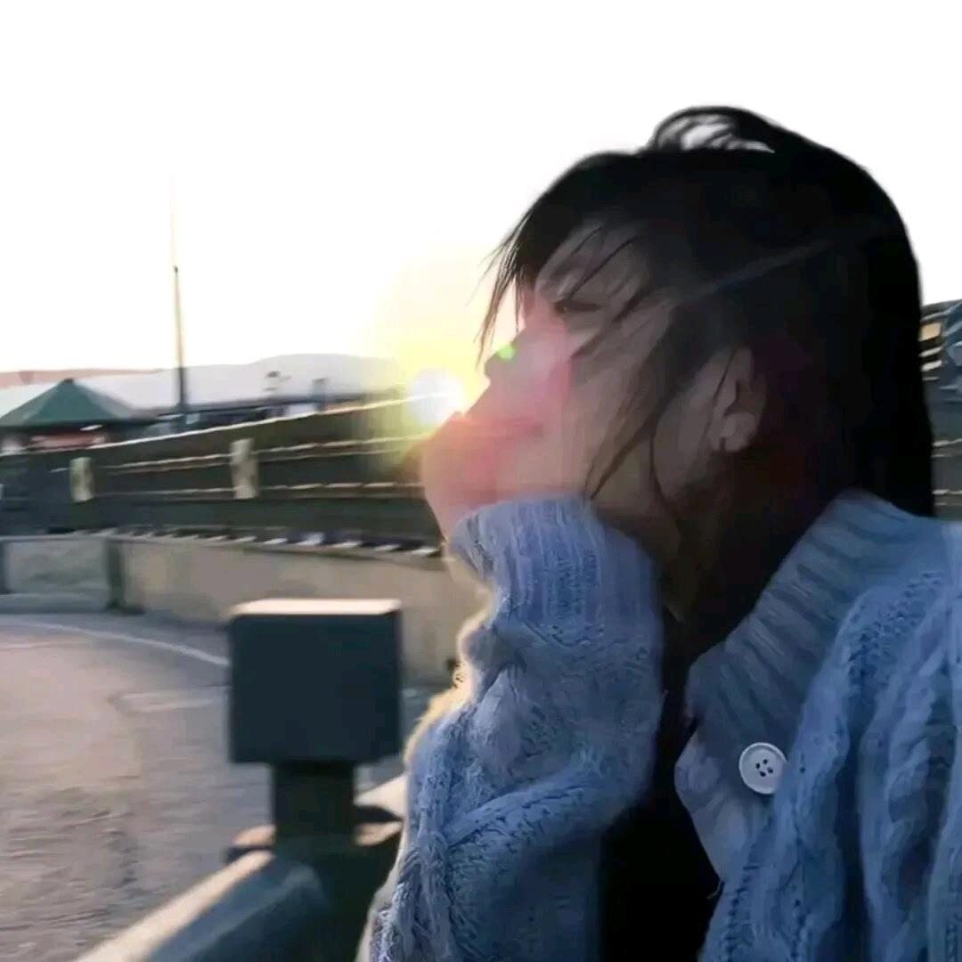 摆烂小鱼