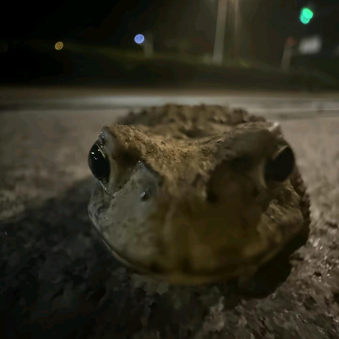 易知难