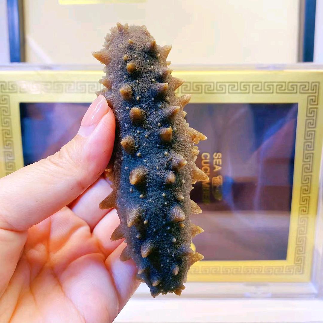 西西海参•大连店