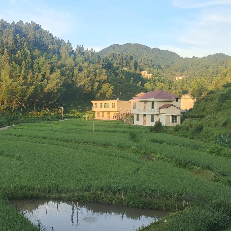 夏沫的生活百货