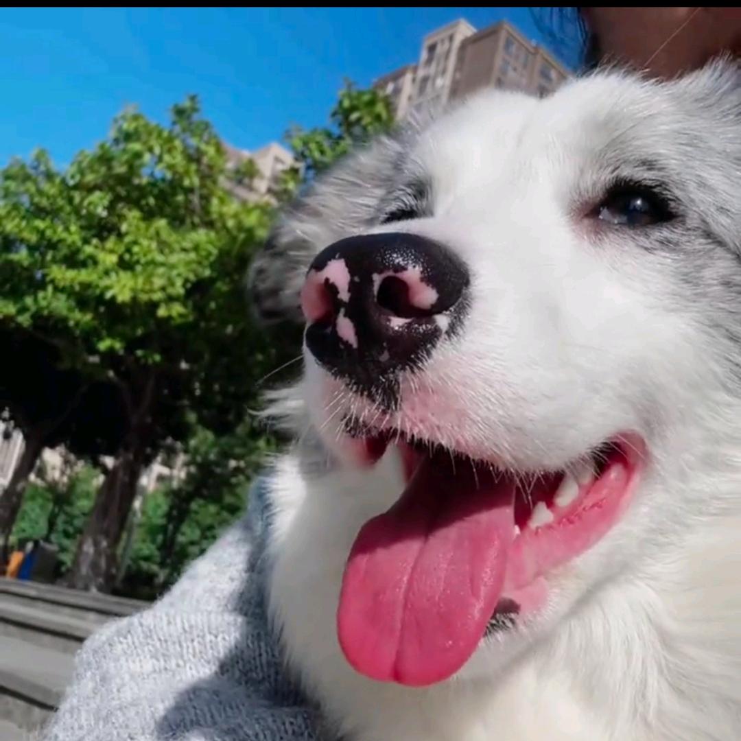 快乐男孩✨