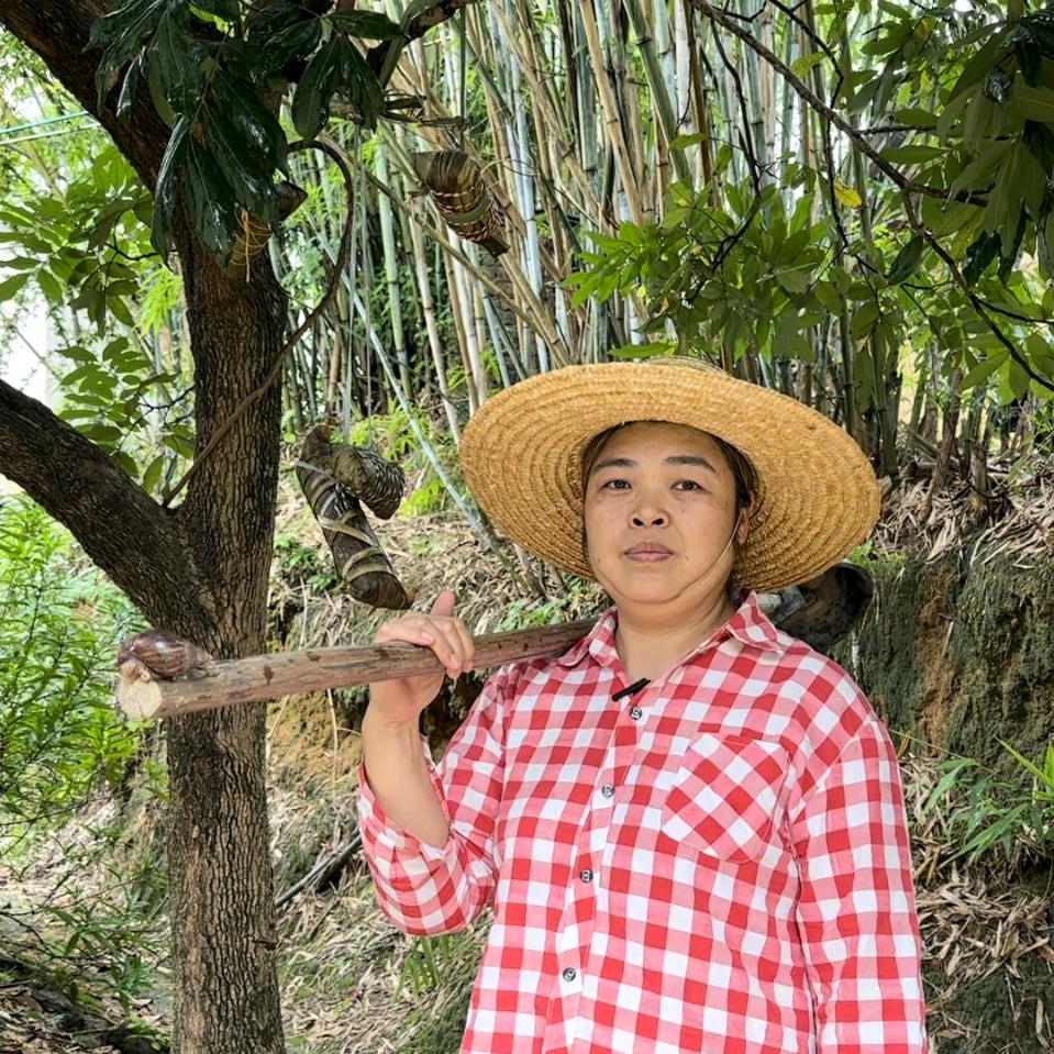 农村珍珍🌹🌹