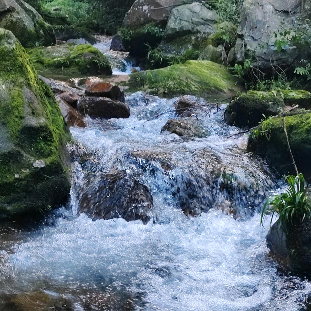长寿村
