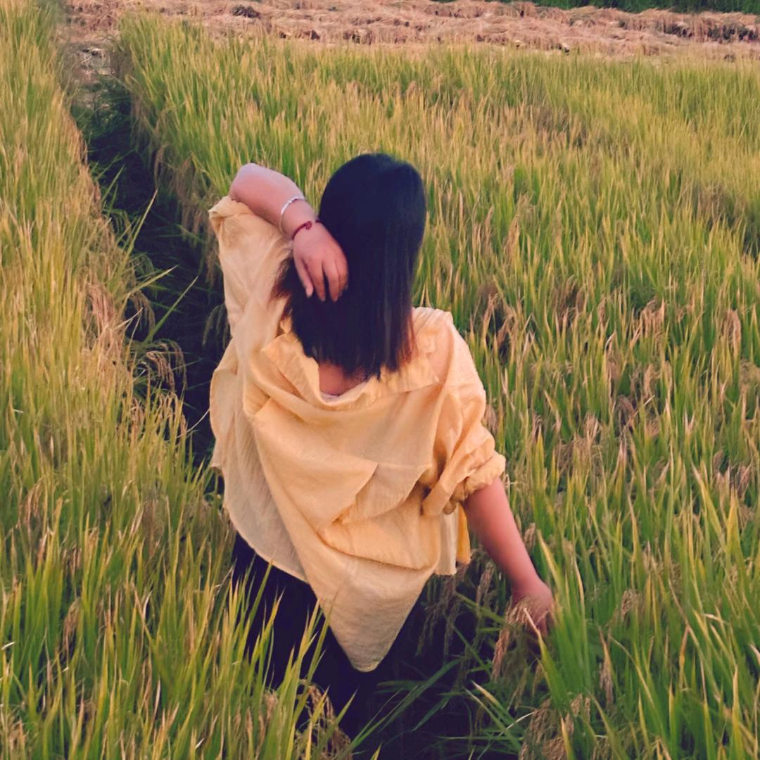 文山酸汤米线.@柳州螺丝粉