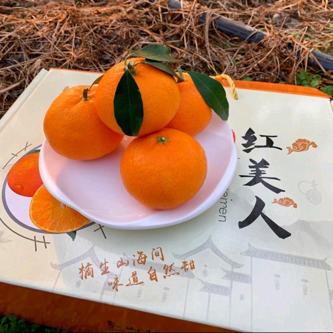 谢氏集团